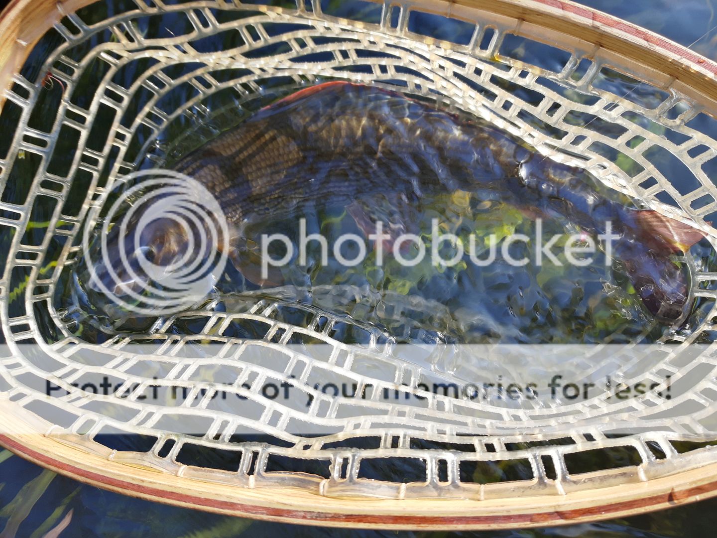 20160710_072654_RichtoneHDR_zpscbzocfxq.