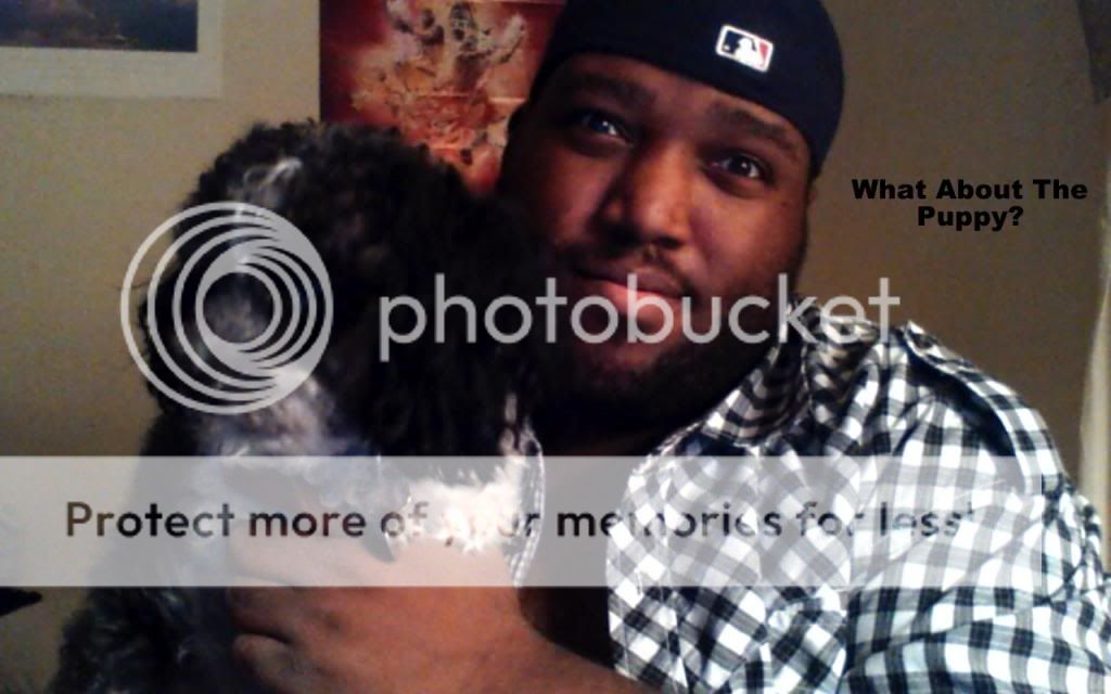 user posted image