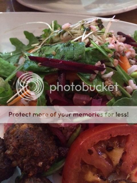  photo IMG_5862_zpszztnqfzs.jpg