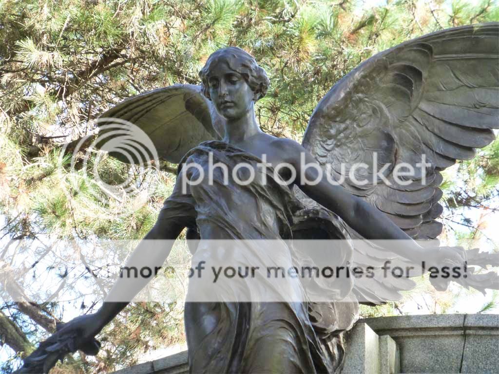 Quantum of the Seas (3.5*) он-лайн, или Квантум как повод для необыкновенного путешествия