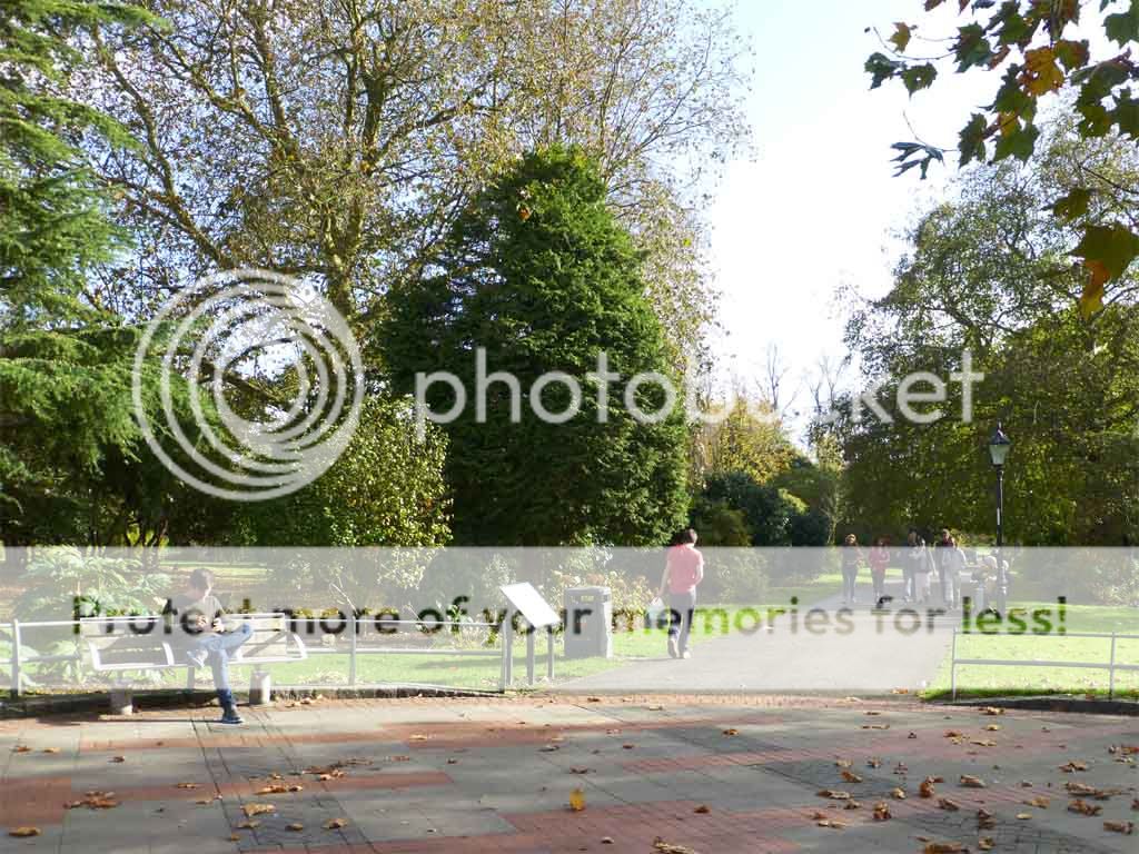 Quantum of the Seas (3.5*) он-лайн, или Квантум как повод для необыкновенного путешествия