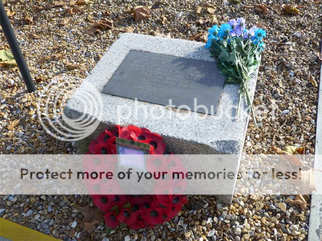 Quantum of the Seas (3.5*) он-лайн, или Квантум как повод для необыкновенного путешествия