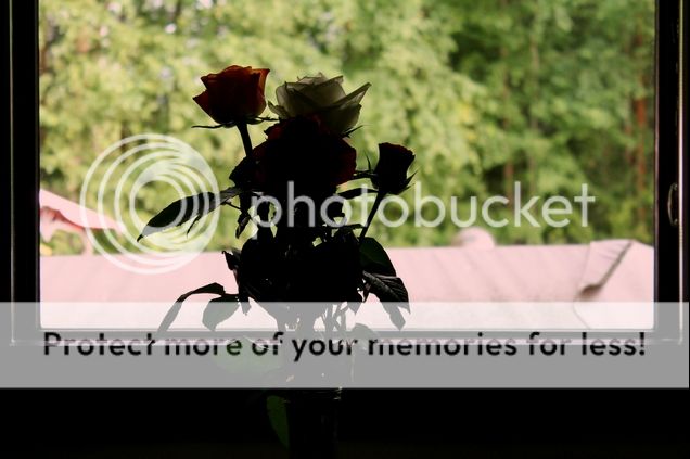  photo 4.8 --_zpsbpmkseko.jpg