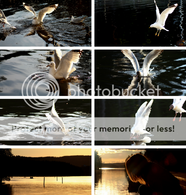  photo pienennoumls 4_zps6btfrcnr.png