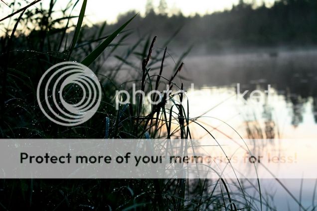  photo pienennoumls 6_zpscjfujkky.jpg