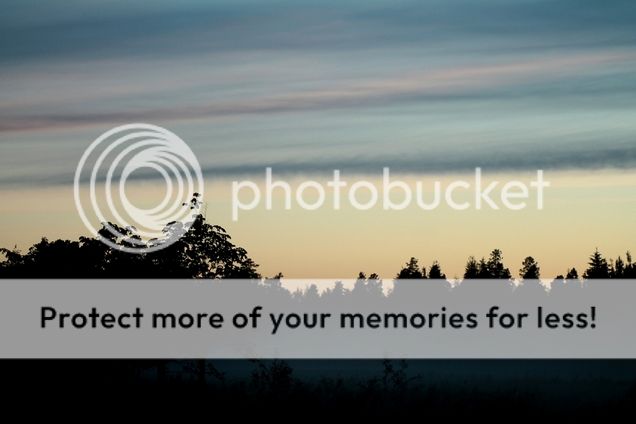  photo pienennoumls 7_zpsjevhzxok.jpg