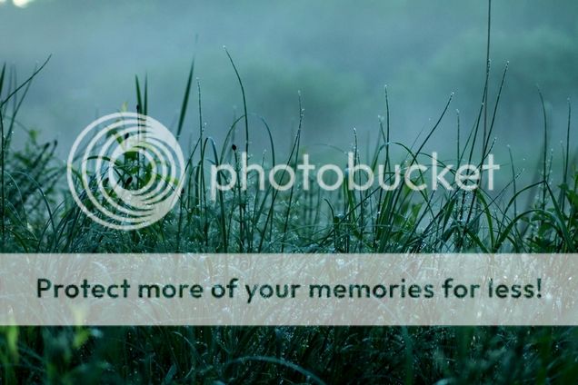  photo pienennoumls 9_zpsbmpygi6g.jpg