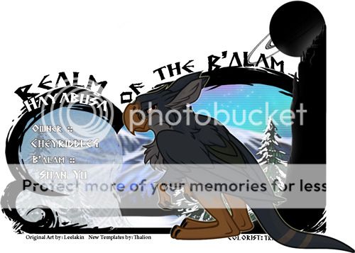 User Image