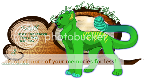 User Image