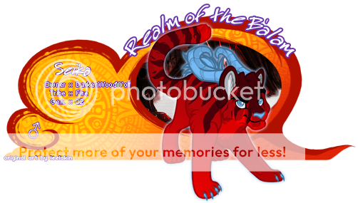 User Image