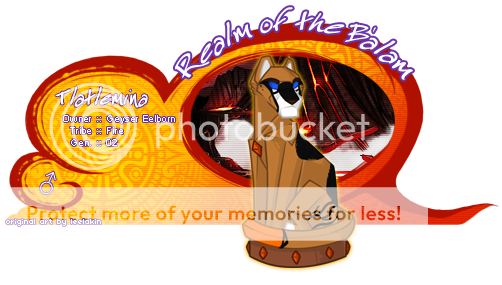 User Image