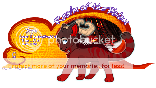 User Image