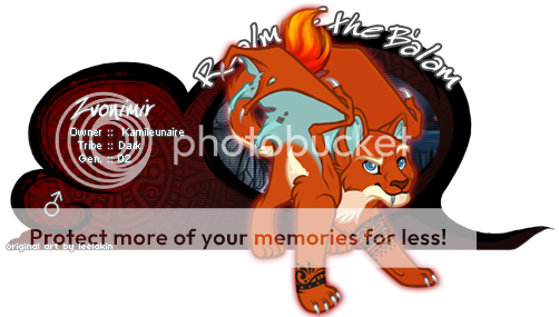 User Image