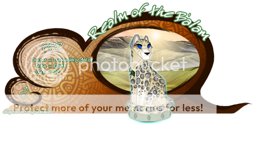 User Image