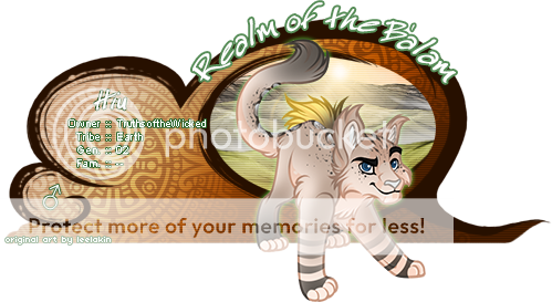 User Image