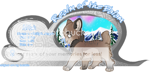 User Image