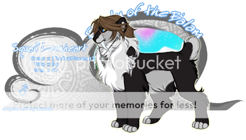 User Image